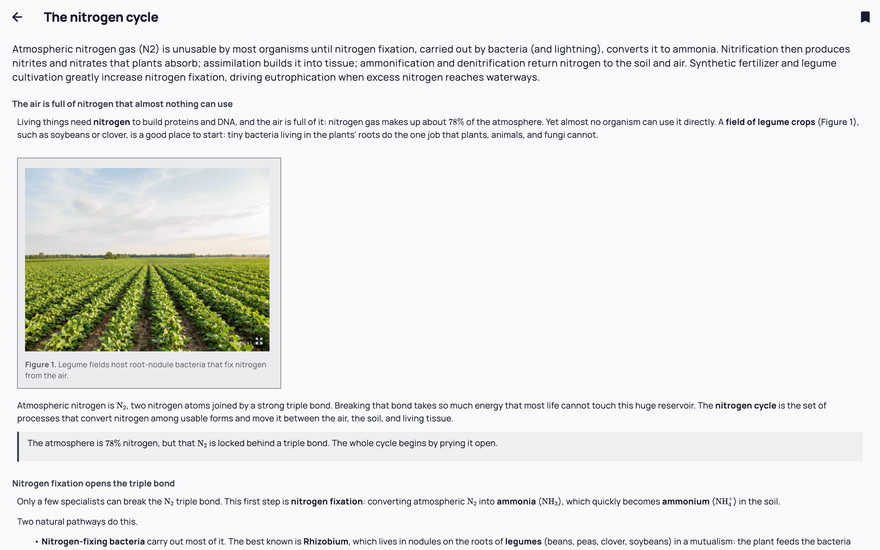 A lesson figure: legume fields whose root nodules host nitrogen-fixing bacteria, with its caption.
